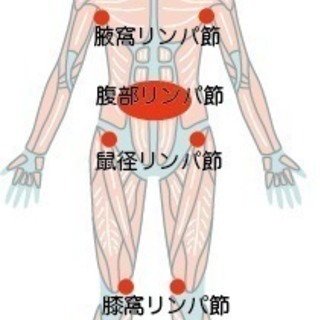 骨髄リンパドレナージュ「波指法」体験してくださる方募集中