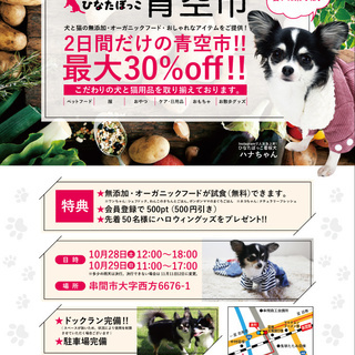 宮崎県串間市でペット用品の青空市開催！！