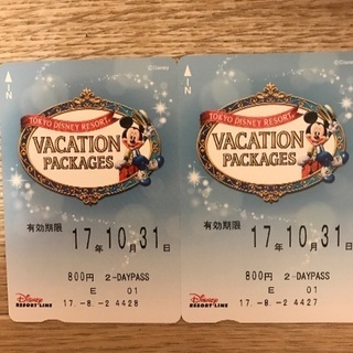 Disneyリゾートライン2days切符