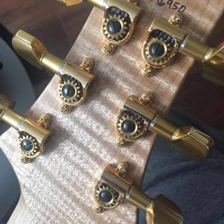 PRs Artist package 2012 custom 24