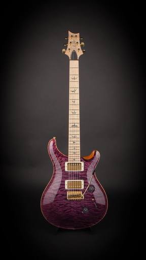 弦楽器、ギター PRs Artist package 2012 custom 24
