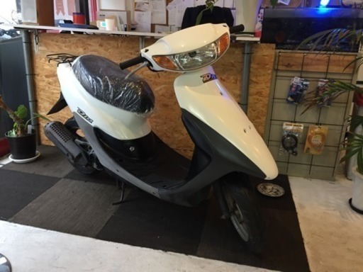 ライブディオ後期モデル 50cc