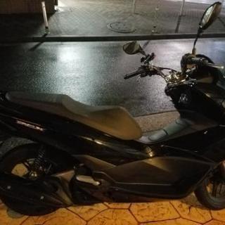ホンダ PCX125 現行 低走行