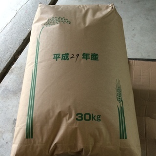 ★新米７０００円★３０ｋｇ★ひのひかり玄米★