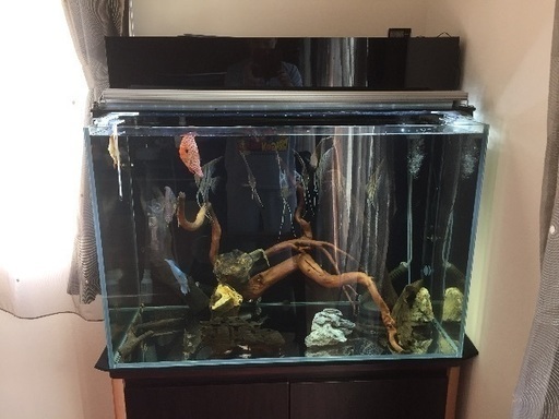 ADA 900×450×600
