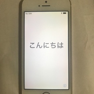 iPhone5S  32GB  docomo