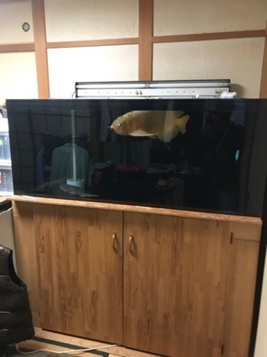 アクリルブラック水槽1500アロワナ