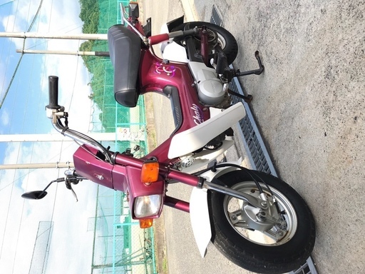 ■即乗りOK♪ CF50  シャリー 12V 最終型  低走行  実働車　カスタムベース■