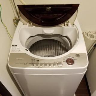 洗濯機をお譲りします！