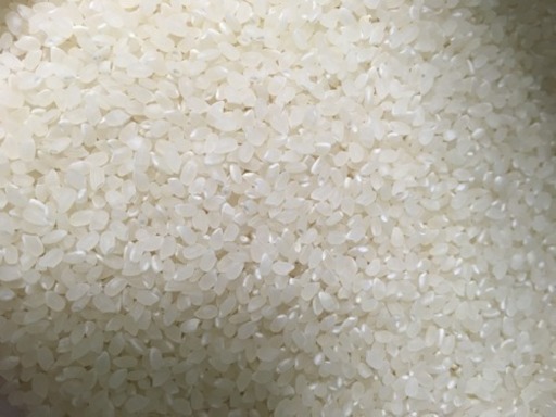 値下げしました【残り１つ】伊賀米コシヒカリ✳︎３０キロ