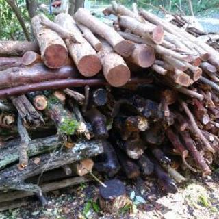 薪ストーブ用の薪を売ります。