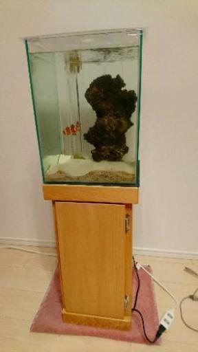 値下げ交渉OK！オーバーフロー水槽