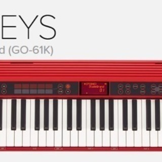 ほぼ新品 Roland GO:KEY オマケ付