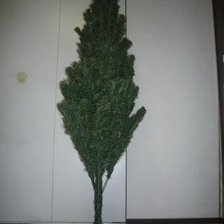 【交渉中】クリスマスツリー 150cm