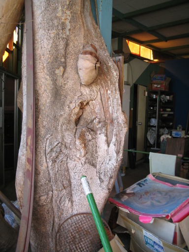 丸太のオブジェ 経年くぼみがなんともいえません。 店舗のディスプレー  