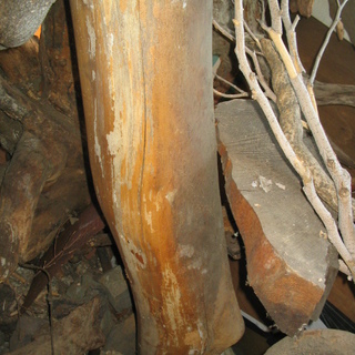 丸太のオブジェ　こぶあり　店舗のディスプレー　コーディネートその他に