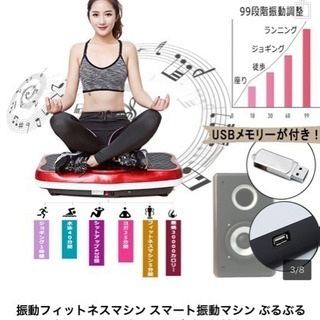 Ayuha スリミング 振動ステッパー X字型 音楽プレイヤー機能付レッド - 家電