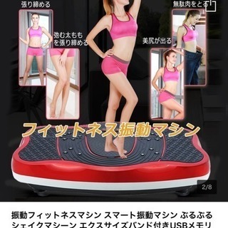 Ayuha スリミング 振動ステッパー X字型 音楽プレイヤー機能付レッド - 家電