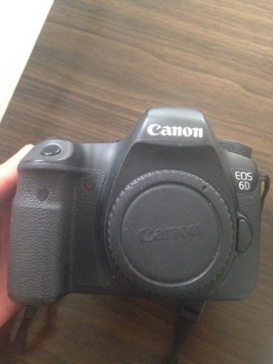 デジタル一眼 Canon 6D EF24-105F4L IS 2 USM