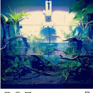 ９０センチ水槽セット