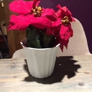 ポインセチア 造花 鉢付き