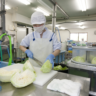 《食品工場》調理補助アルバイト募集（高校生可）　未経験者大歓迎！ − 栃木県
