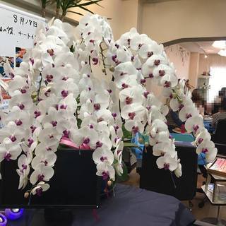 【女性募集】麻雀教室で楽しく健康麻雀🌺【禁煙麻雀】