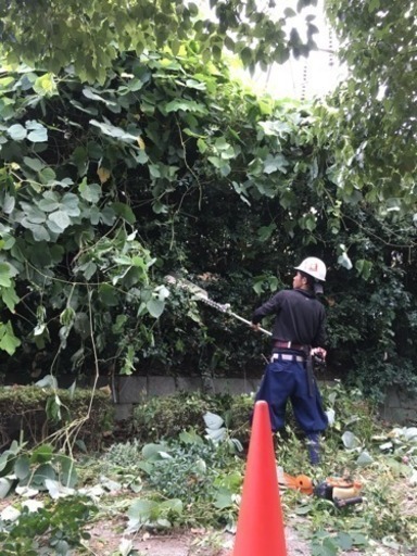 横浜市の造園屋さん 仲間募集 戸塚区民 横浜のその他の無料求人広告 アルバイト バイト募集情報 ジモティー
