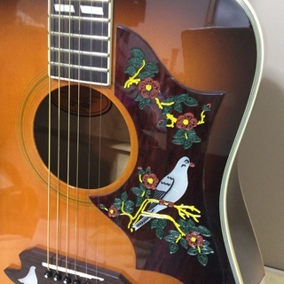 ＜希少＊極上美品＞Orville by Gibson DOVE ・入手困難な希少な1本をこの機会に！！