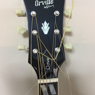 ＜希少＊極上美品＞Orville by Gibson DOVE ・入手困難な希少な1本をこの機会に！！