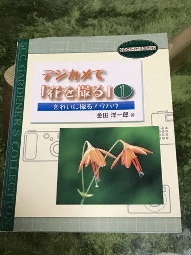 初心者応援★極上品★NIKONニコン D70 標準\u0026望遠ダブルレンズセット 28-80mm 28-200mm