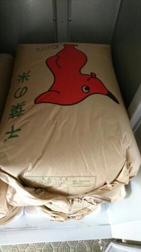 28年度コシヒカリ