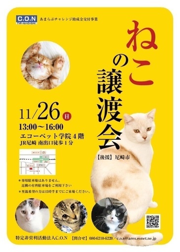 第9回 猫の譲渡会☆彡.。in尼崎 (尼Loveにゃんこの) 尼崎の地域/お祭り