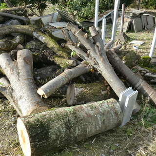 薪ストーブ用木材