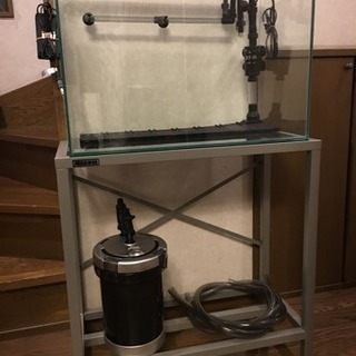 急募/美品】使用1ヶ月のみ レッドビー してた 飼育セット chateauduroi.co
