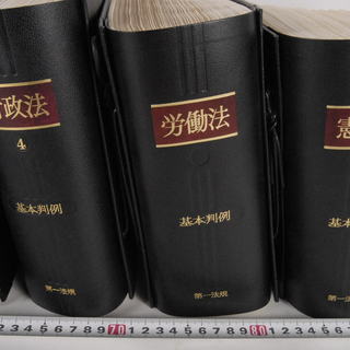第一法規 基本判例 民法民事執行法刑事訴訟法商法刑法行政法労働法憲法29巻セット