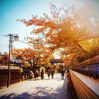 紅葉シーズンに京都でインスタ映えする写真を撮ろう♫の画像