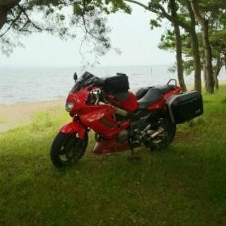 VTR1000F 逆車 前期 VTR1000F(SC36前期)-since 1997- - バイクの系譜