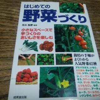 はじめての野菜づくり