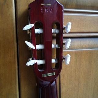 〈値下げ〉エレガット　Epiphone SST