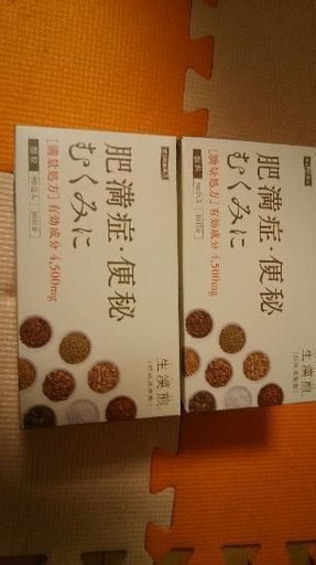 未開封 生漢煎2箱