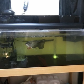 1200水槽フルセット