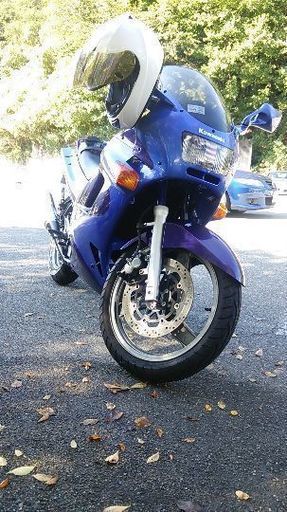 ZZR250 商談中