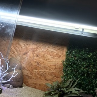 ４段爬虫類ケージ