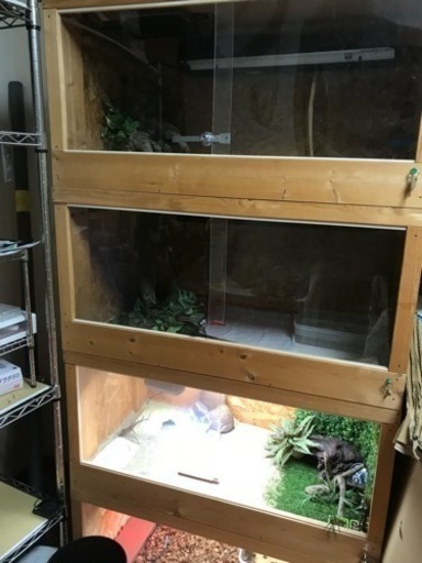 ４段爬虫類ケージ