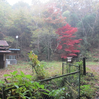 不動産売買について - 桜川市