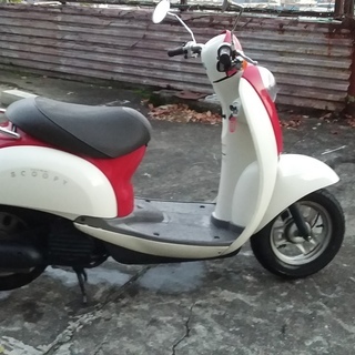 ホンダ Scoopy 赤/白 AF-55 千葉県八街市（決まりました》ホンダ