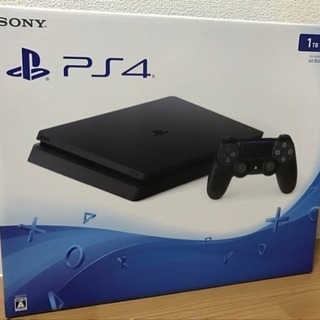 PS4 本体 (ソフト2本)