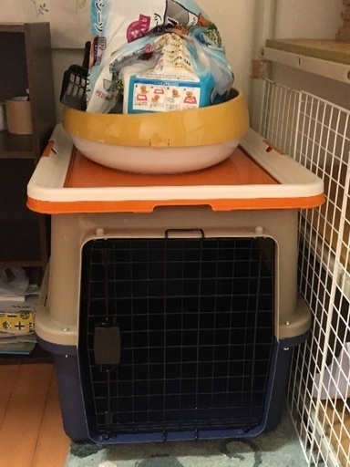 犬猫の飼育グッズ