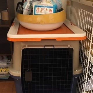 犬猫の飼育グッズ